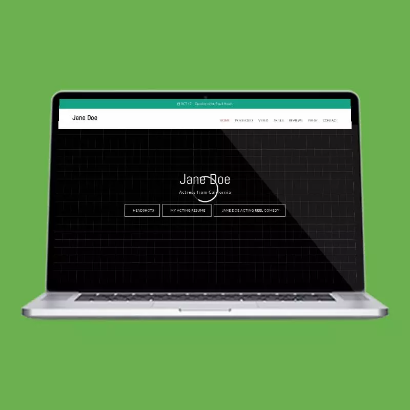 Large Video actor website design