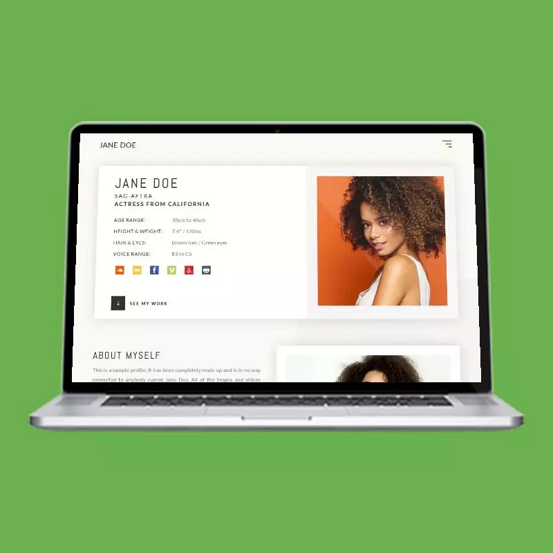 Modernfly actor website design