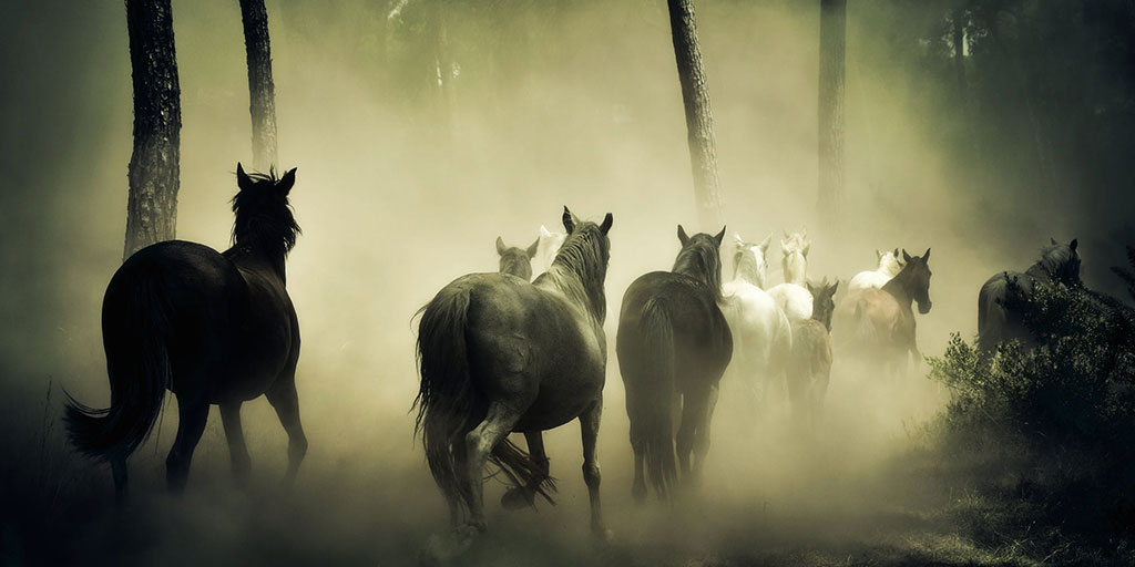 Your hair is sleek and glossy like the mane of a mighty stallion.