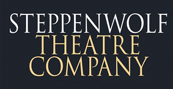 School at Steppenwolf