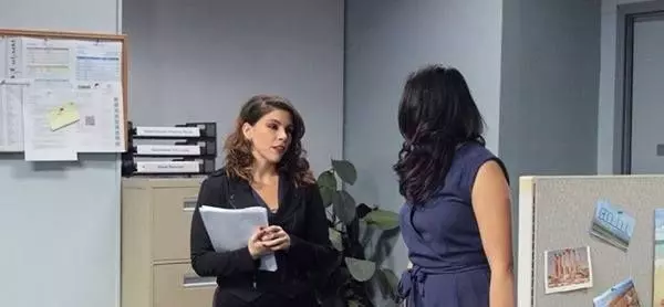 BTS: Alpha Office Manager