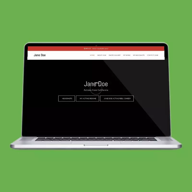Large Video actor website design