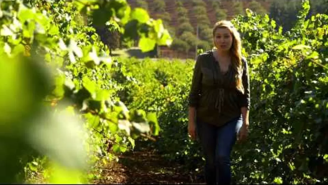 Willamette Valley: Escape to Oregon Wine Country for a Romantic USA Vacation