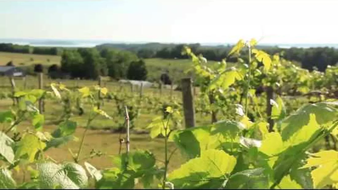 Traverse City vacations mean summer adventures on Lake Michigan, wineries and more