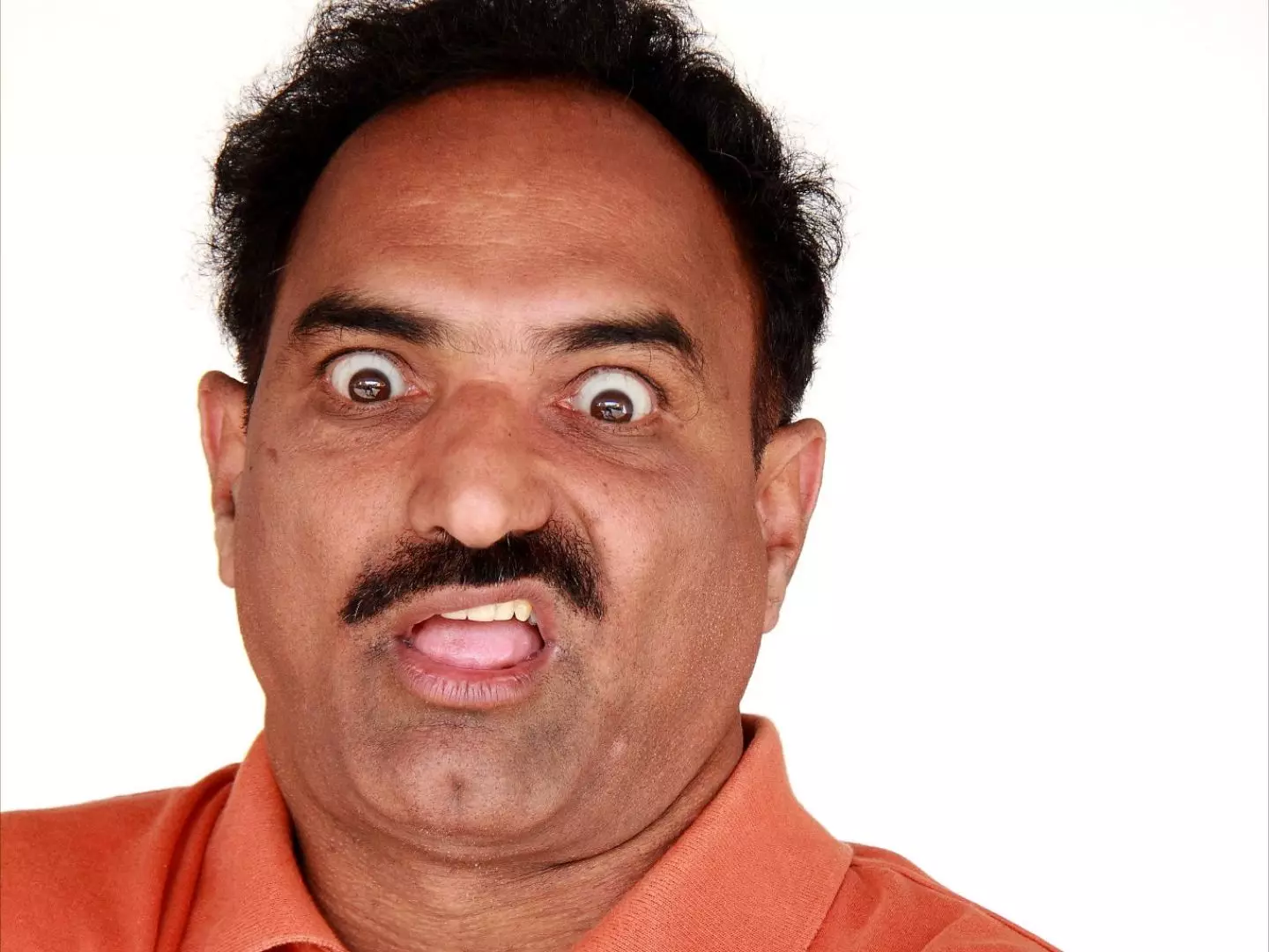 Raghuram Shetty, photo 2