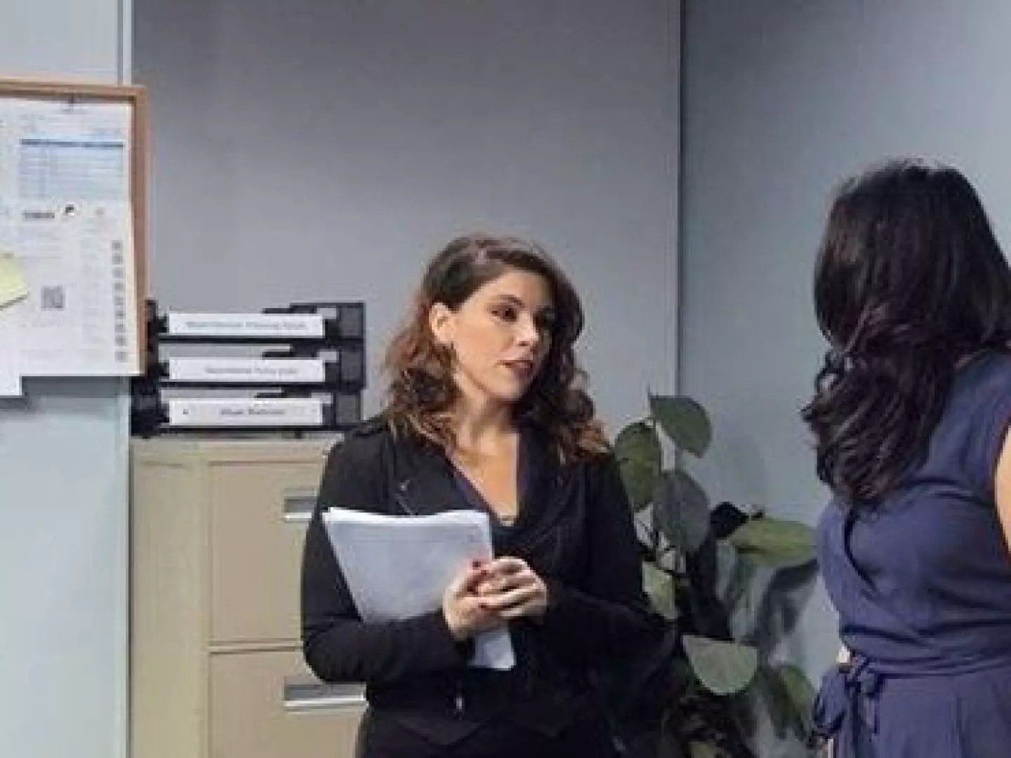 BTS: Alpha Office Manager
