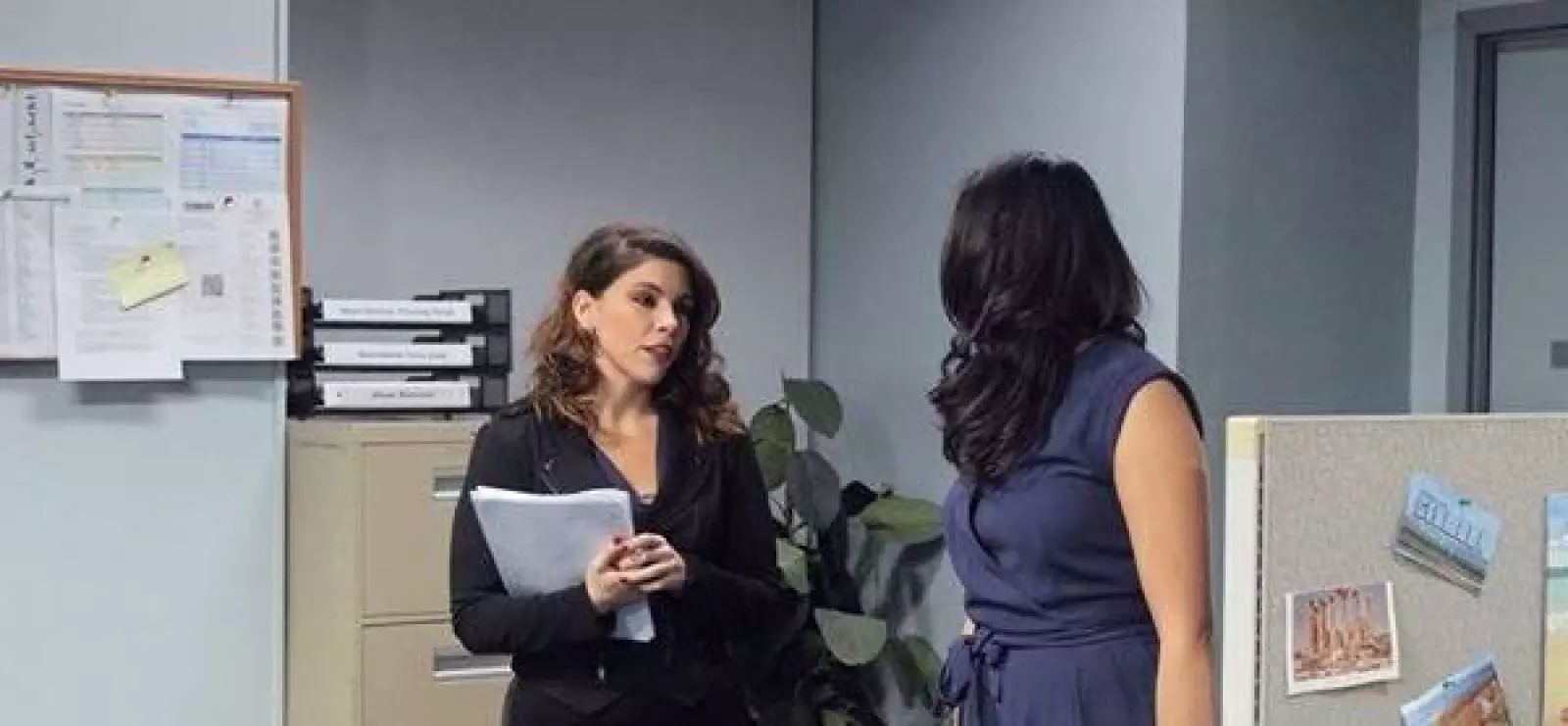 BTS: Alpha Office Manager