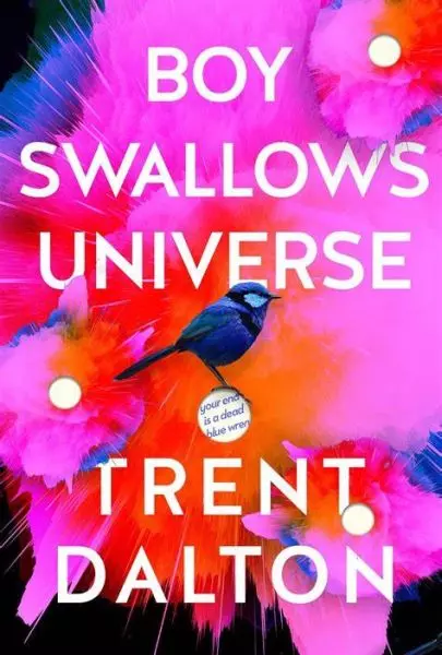 Boy Swallows Universe