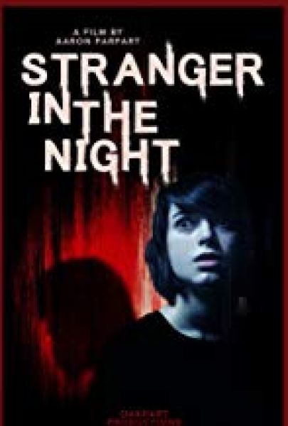 Stranger In the Night
