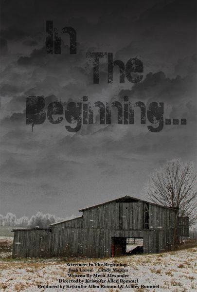 Wireface: In the Beginning...