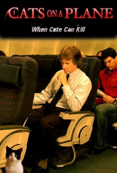 Cats on a Plane