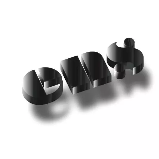 Art by Aga Czech: ENS LOGO