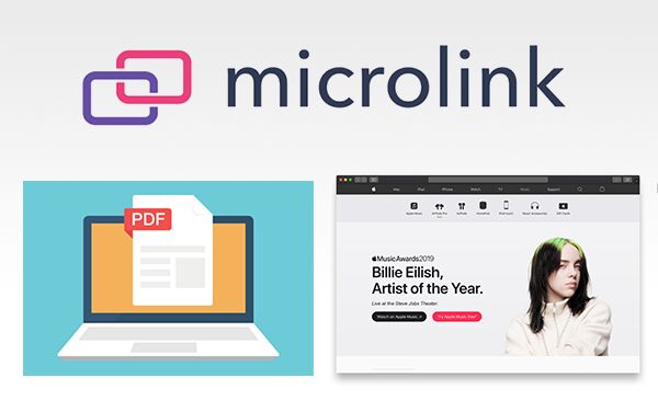 Microlink = Screenshot Layer + PDF Crowd