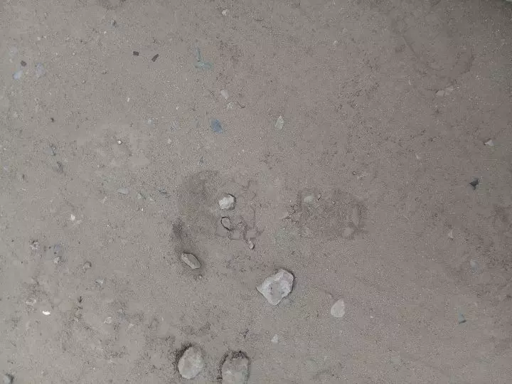 Kyle Shoe Prints photo of Kyle Oleynik