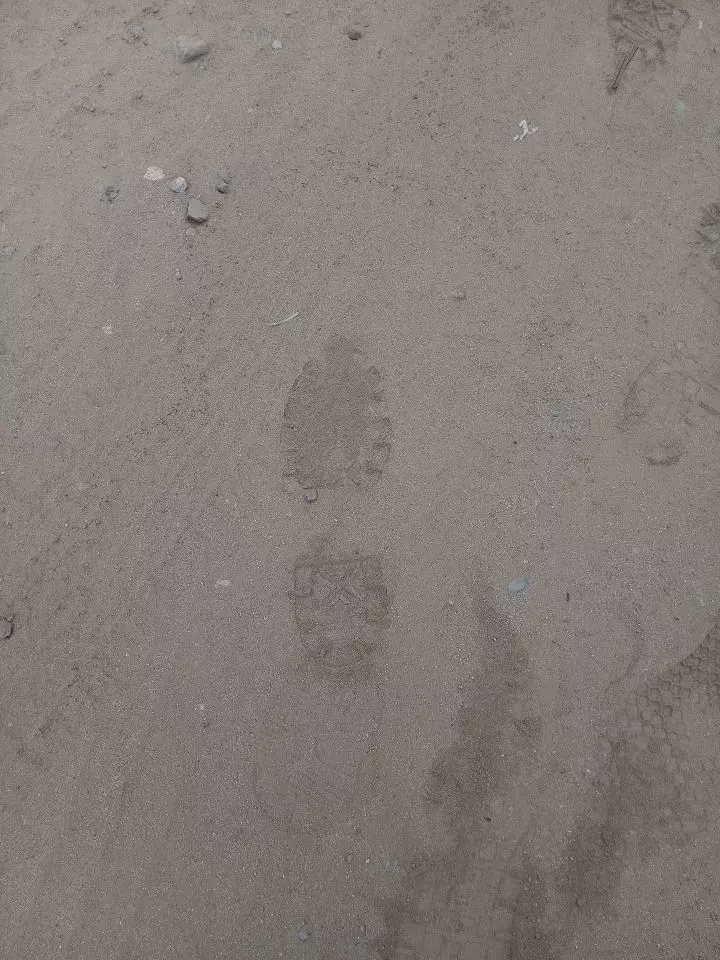 Kyle Shoe Prints photo of Kyle Oleynik