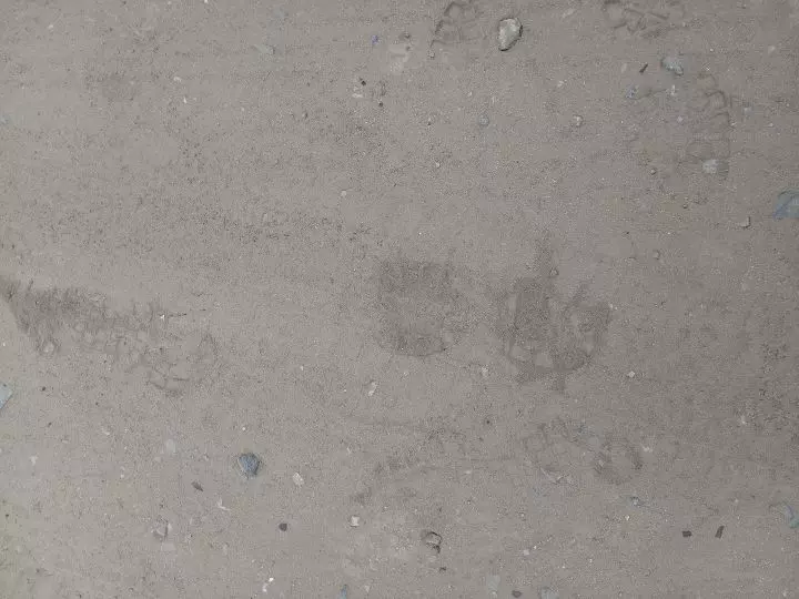 Kyle Shoe Prints photo of Kyle Oleynik