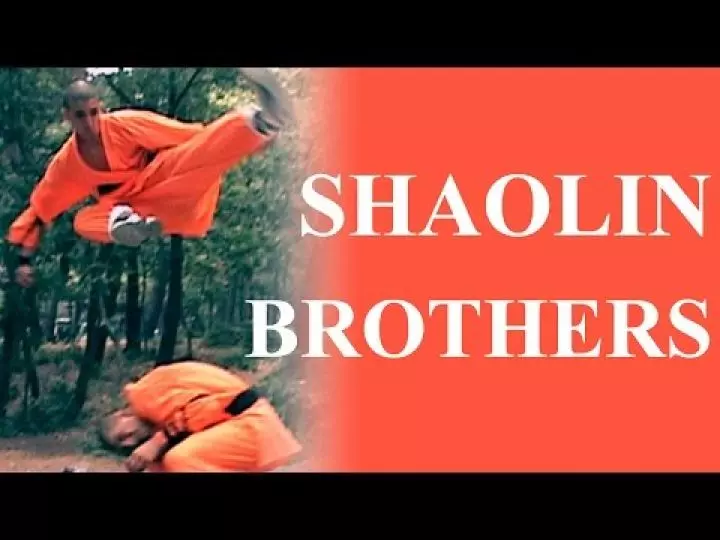 T&uuml;rk D&ouml;v&uuml;ş&ccedil;&uuml;ler | Shaolin Kung Fu Kardeşler