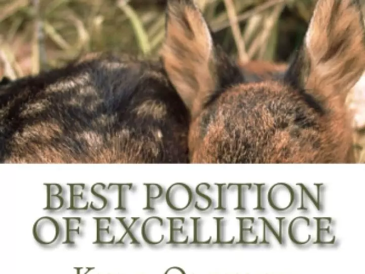 BestPositionofExcellenceBook