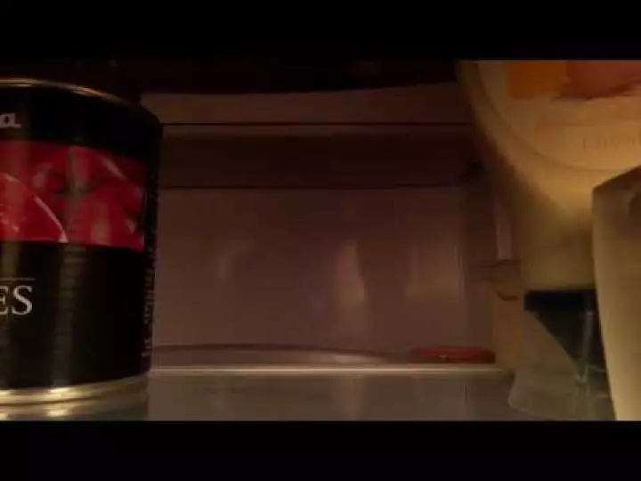 Fridge test