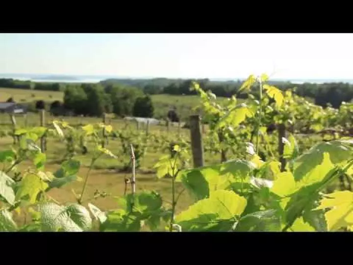 Traverse City vacations mean summer adventures on Lake Michigan, wineries and more