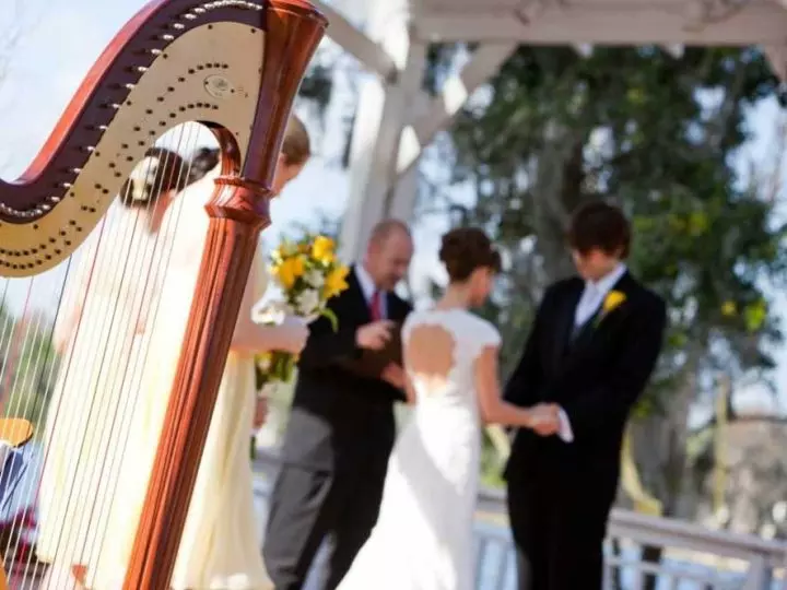 Wedding-harp